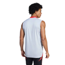 Camisa Regata Internacional 2025/26 Treino Cinza