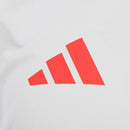 Camisa Internacional 2025/26 Treino Cinza