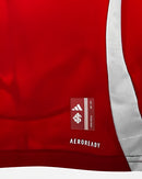 Camisa Internacional 2025/26 Home